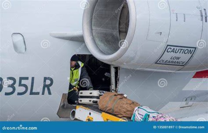 Can a person survive in the cargo hold of a plane?