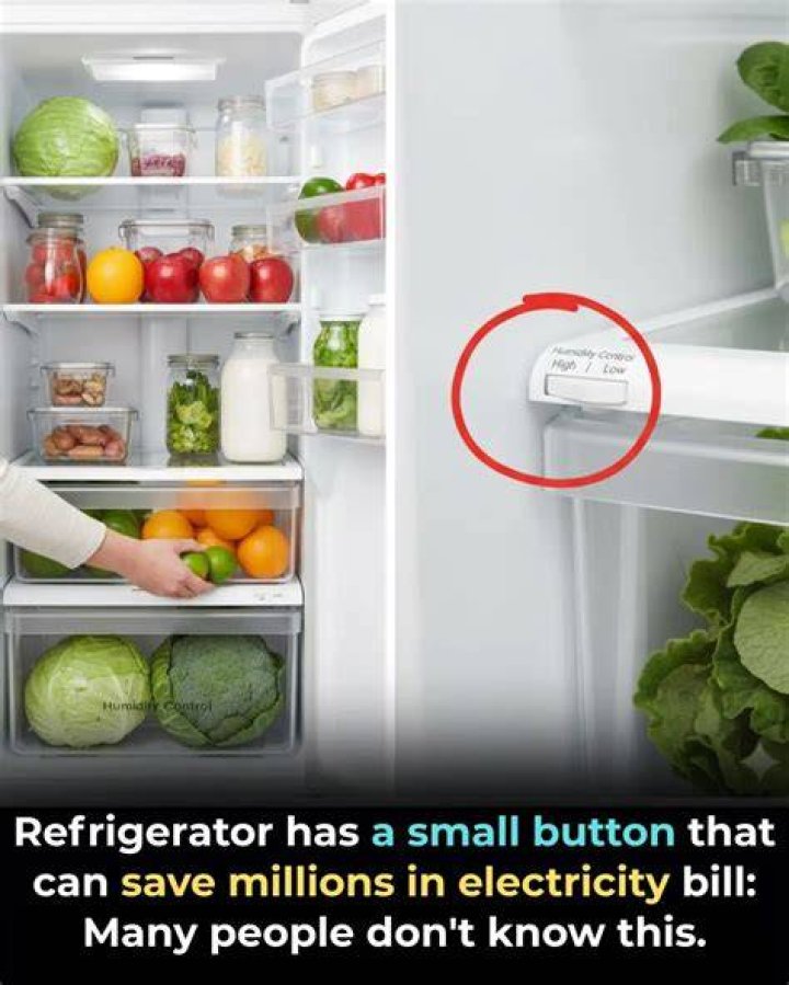 How can I lower my refrigerator bill?
