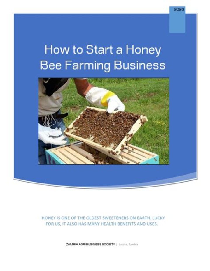 How do you pick good honey?