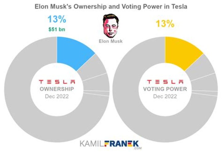 How much does Elon Musk owns Tesla?