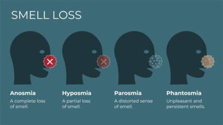 Is COVID loss of smell permanent?