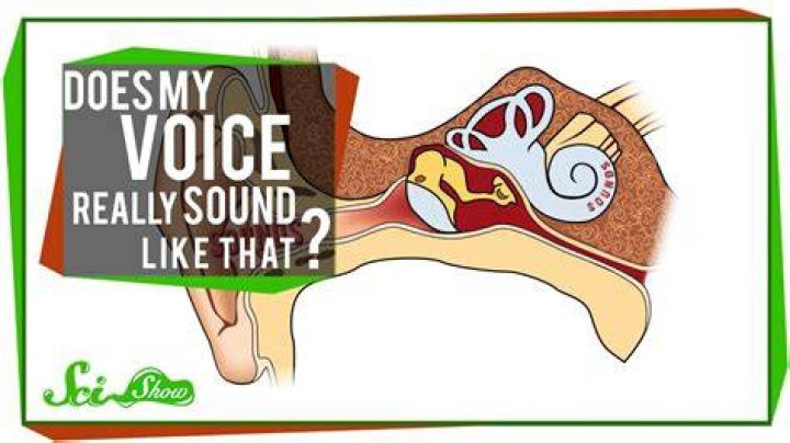 What does an autistic voice sound like?