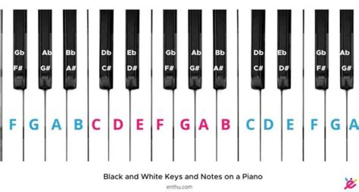 What is the difference between white and black keys on a piano?