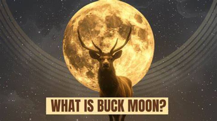 What is the meaning of the Buck moon?