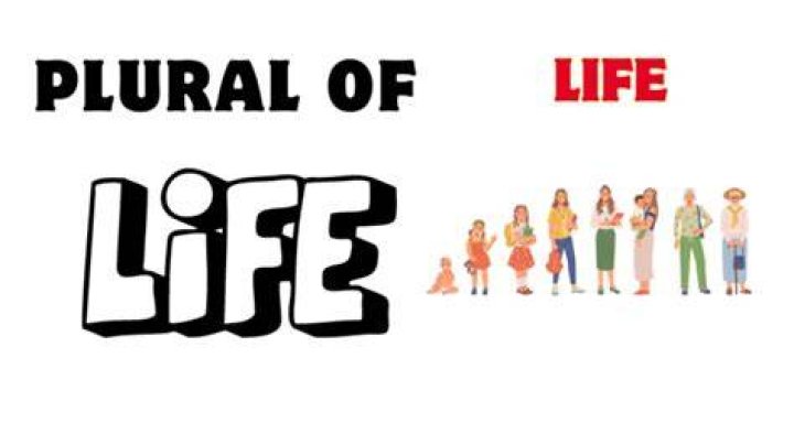 What is the plural of low life?