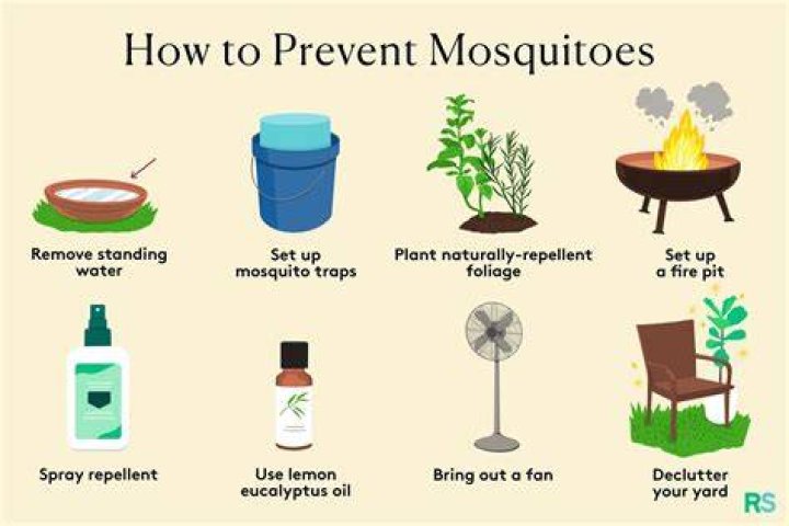What to put in standing water to prevent mosquitoes?