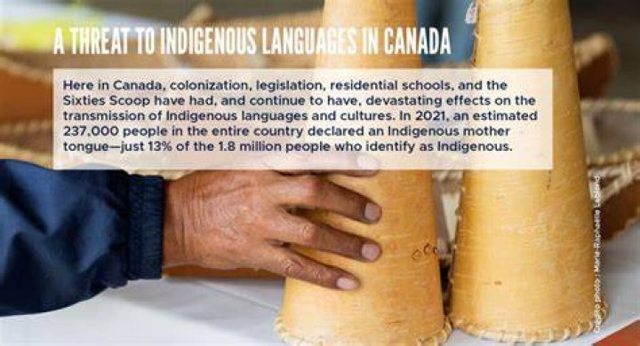 Who can identify as Indigenous?