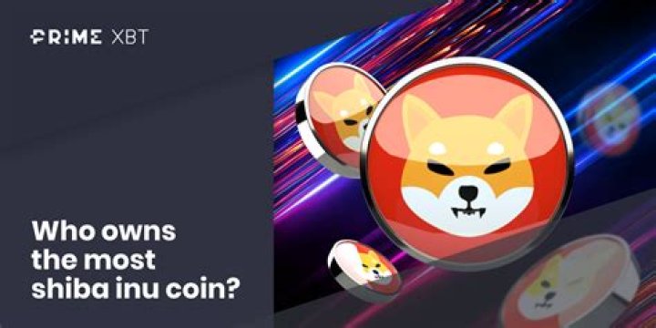 Who owns the most Shiba Inu coin?
