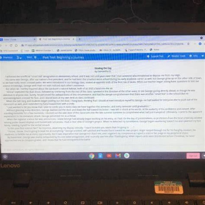 Why do you think the author chooses to show us the flashback of Lina opening her acceptance letter to art school P 119?