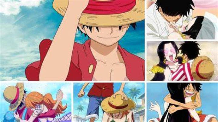Will Luffy ever fall in love?